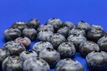 European blueberry (Vaccinium myrtillus) on a blue blackground, common bilberry or blue whortleberry closeup - Image