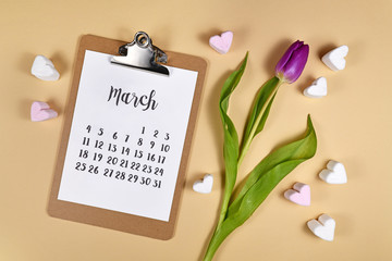 March month concept with clipboard with calendar sheet, purple tulip spring flower and marshmallow hearst on cream colored background, flat lay