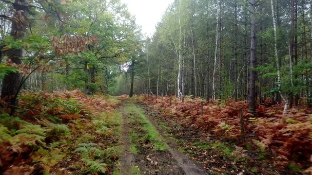for&ecirc;t de Sologne et rives de la Loire