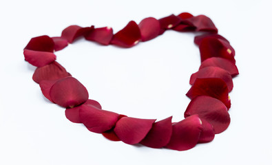 Obraz premium Rosen Valentinstag Liebe Blumen Valentines Day roses love