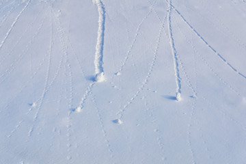 natural background - snowballs rolling down the slope left traces