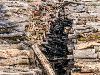 Brennholz Lager auf dem Feld im Winter