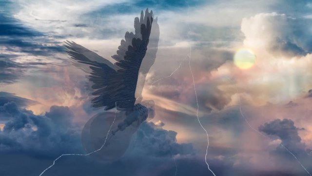 Winged idea