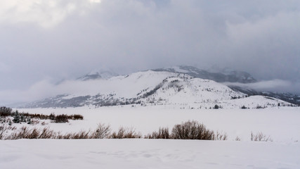 Grand Teton Snow