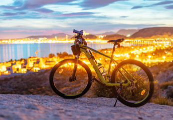 Bicycle on the background of the night city and the sea