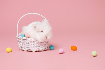 Little cute fur fluffy white bunny Easter rabbit sitting in wicker wooden basket with eggs isolated on pastel pink background in studio. Childhood holiday Happy Easter concept. Mock up copy space.