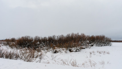 Grand Teton Snow