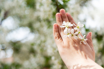 Woman holds spring tree blossoms