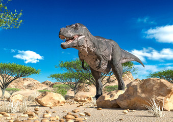tyrannosaurus alone on desert © DM7
