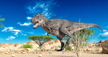 tyrannosaurus is walking alone on desert panoramic view © DM7