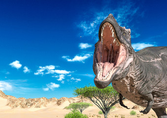 tyrannosaurus is angry and alone on desert © DM7