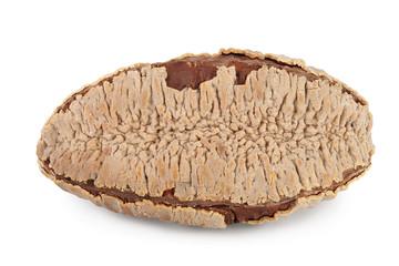 Brasil nut in nutshell isolated on white background with clipping path and full depth of field.