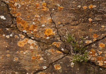 Geologic fissure on an orange mountain wall, "Fisgas do Ermelo", Serra do Alvao, Mondim de Basto, Portugal.