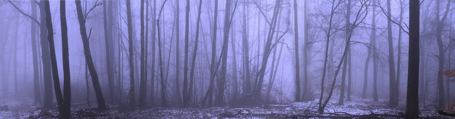 panorama of forest fog in the winter forest, mysterious mystical landscape of lilac color