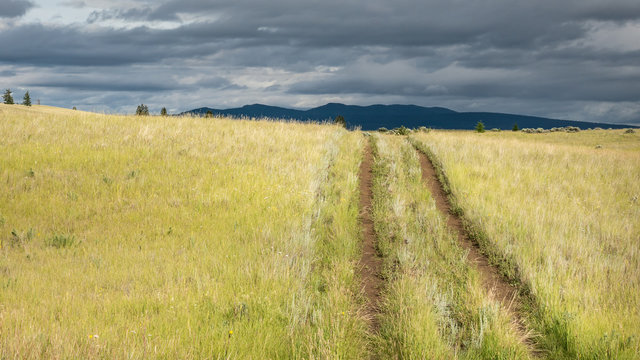 Road disappearing over a hill into a dark background symbolizing uncertain times. 