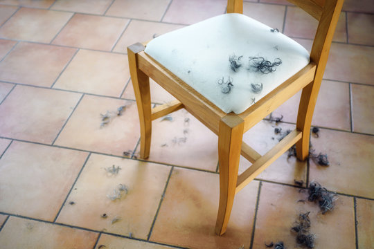 Tufts of black and grey hair curls on a wooden chair and on the floor from a self made hair cut at home