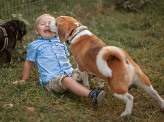 The daily life of a child with disabilities. A boy with Down syndrome plays with dogs. Chromosomal...