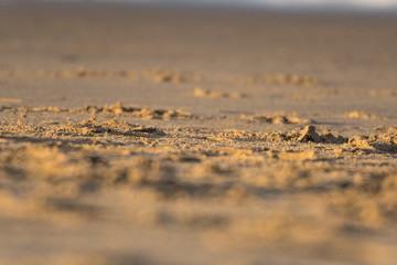 Fototapeta na wymiar Macro photo of the sand of a beach with big blurs