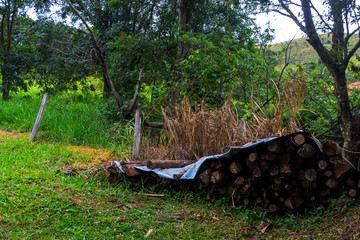 wheelbarrow in garden