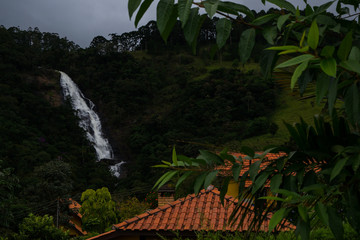 waterfall in the forest