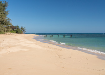 Fototapeta na wymiar Deserted sandy beach known as Pounders at La'ei beach park on east coast of Oahu in Hawaii