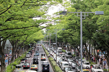 Tokyo, Japan - July 30, 2019: Beautiful view of Omotesando street from an overpass