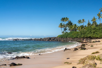 Fototapeta na wymiar Laniakea Beach near Haleiwa on the north coast of Oahu in Hawaii
