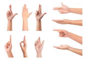 Set of woman hands isolated on white background