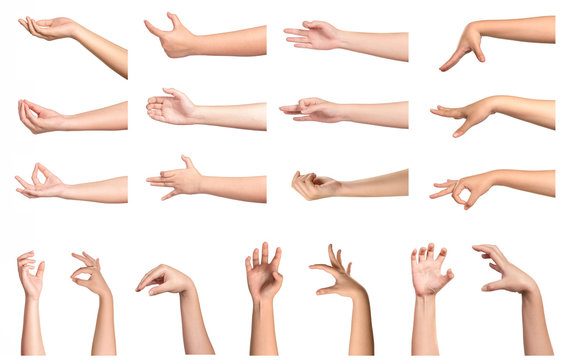 Set of woman hands gesturing and shwoing isolated on white background.