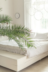 White bed in bright livingroom with plant in scandinavian style