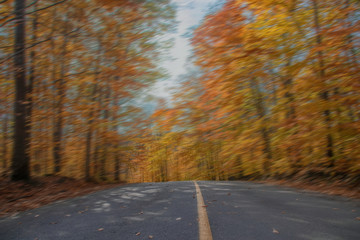 Obraz premium Speeding down centre line of tree-lined road autumn foliage nobody