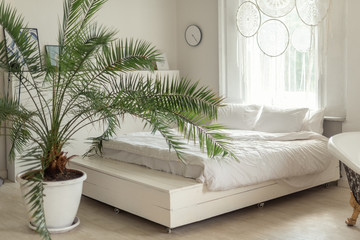 White bed in bright livingroom with plant in scandinavian style