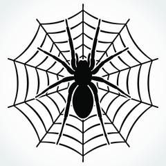 Obraz premium silhouette spider on web / vector illustration