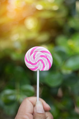lollipop on white background