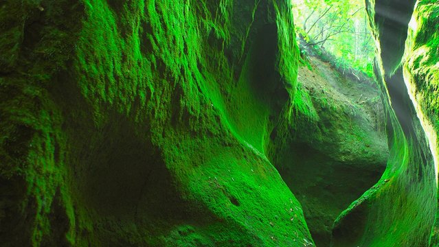 28 最適な 苔の洞門 画像 ストック写真 ベクター Adobe Stock