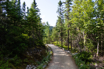Fototapeta na wymiar A path in a national park in the Charlevoix region of Quebec, Canada. 