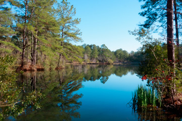General Coffee State Park, Douglas, Georgia