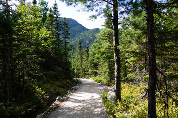 A path in a national park in the Charlevoix region of Quebec, Canada. 