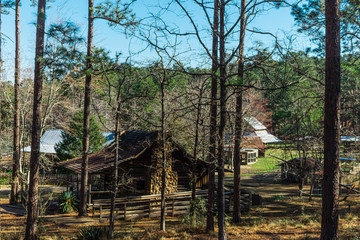 Fototapeta na wymiar General Coffee State Park, Douglas, Georgia