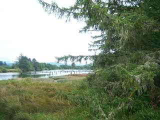 landscape with river