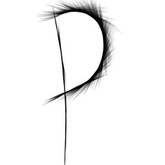 hand drawn vector illustration of feather