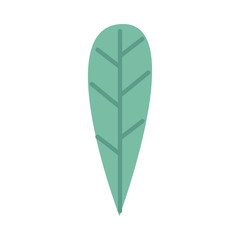 ecology leaf plant isolated icon