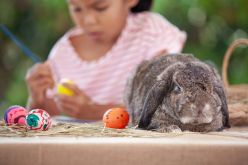 Cute Holland lop rabbit sitting on the table with asian child girl drawing and painting on easter eggs in background at easter festival