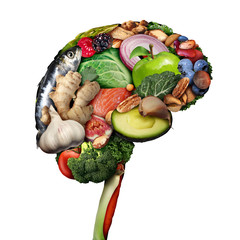 Healthy Brain Food