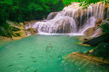 Waterfalls and fish swim in the emerald blue water in Erawan National Park. Erawan Waterfall is a beautiful natural rock waterfall in Kanchanaburi, Thailand.Onsen atmosphere.