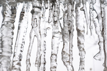 Transparent icicles on a white background. Abstract ice background.