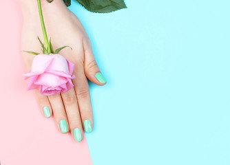 Obraz na płótnie Canvas Female hand with manicure and flower on pink and blue background, copy space