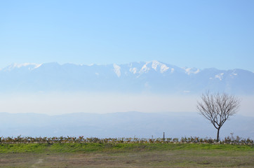 Fototapeta na wymiar Snow mountain view from the hierapolis of Pamukkale, Turkey.