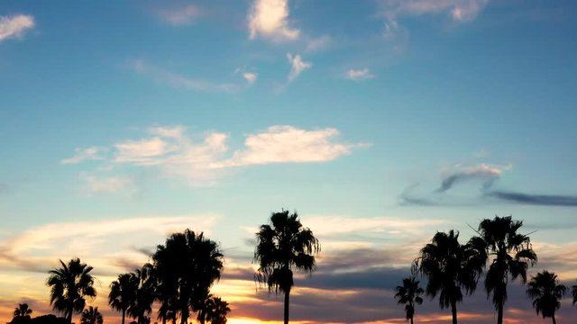 Aerial sunset of beautiful sky with palm trees silhouetted