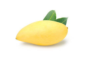 Fresh and beautiful mango fruit on white background.